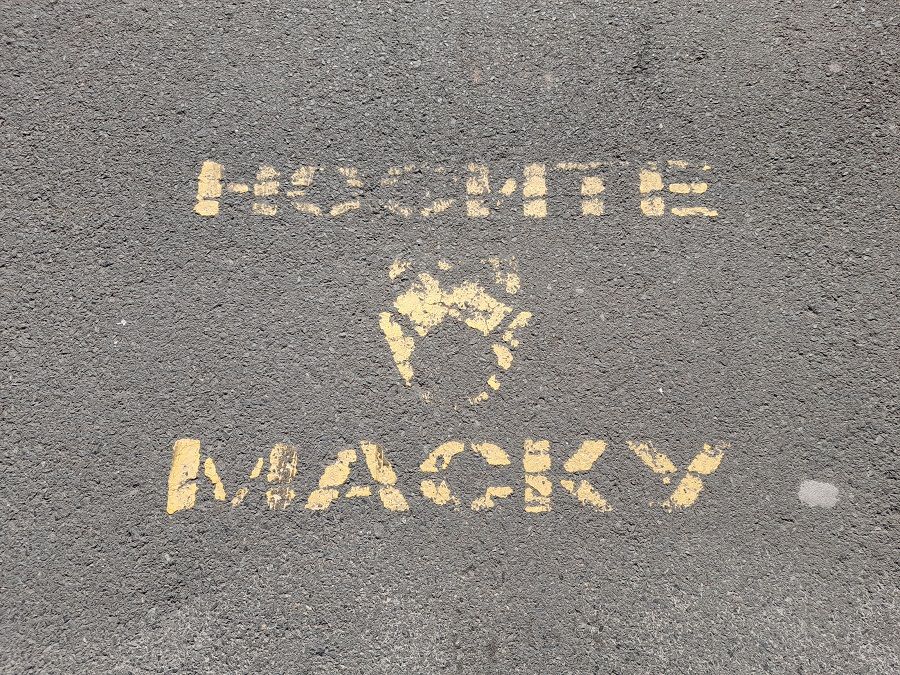 Новый штамм коронавируса «Цикада» легко обходит иммунную защиту человека - эпидемиологи