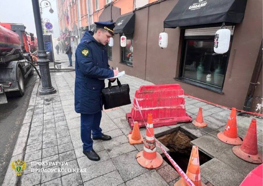 Провал тротуара на Пограничной заинтересовал надзорные органы