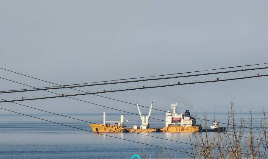 «Тигрофлот» сел на мель: идёт операция по спасению судна