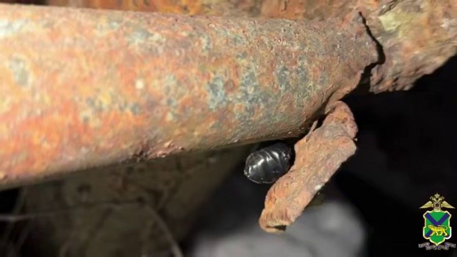 Полиция Владивостока прикрыла мигрантский наркошоп