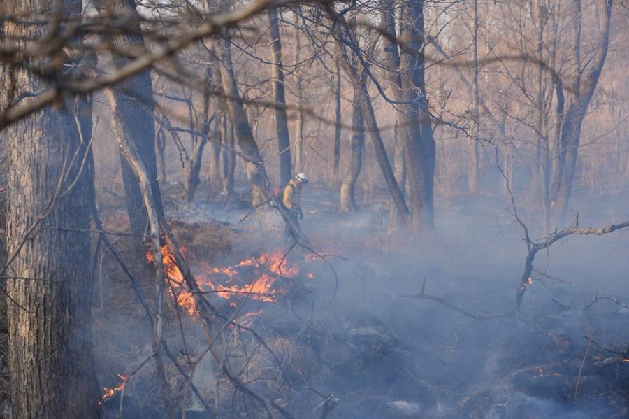 Лесные пожары захватывают северные территории Приморского края