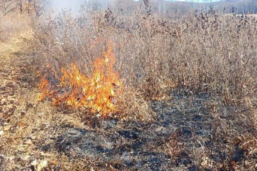 Приморье в огне: более 30 очагов вспыхнуло в регионе за последние сутки