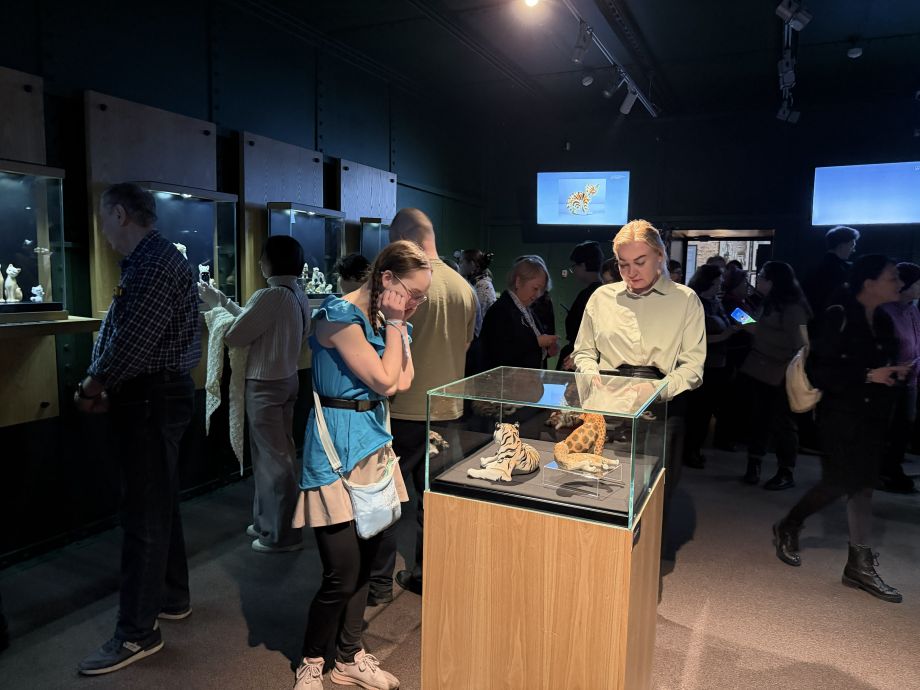 Любителям хвостатых посвящается: искусство и кошки встретились в Приморской картинной галерее