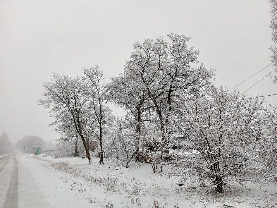 Зима вернулась: Приморский край снова заметает снегом