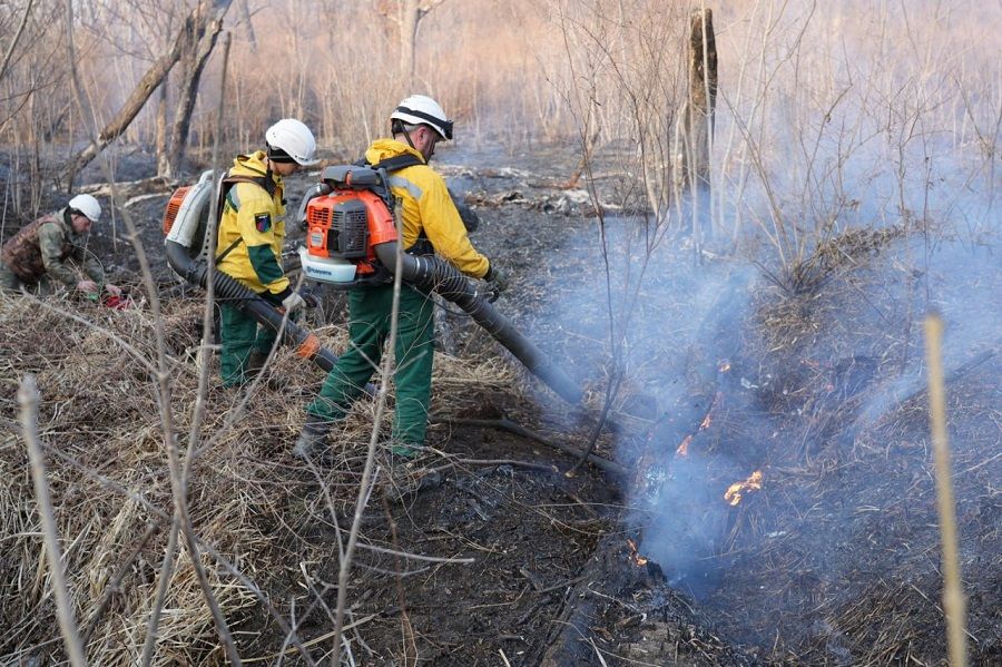 Собственников сельхозземель в Приморье привлекают к ответственности за травяные палы