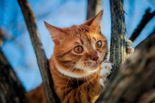 Фото: Анна Шеринберг / PRIMPRESS | Почти летняя погода ожидается сегодня в Приморье