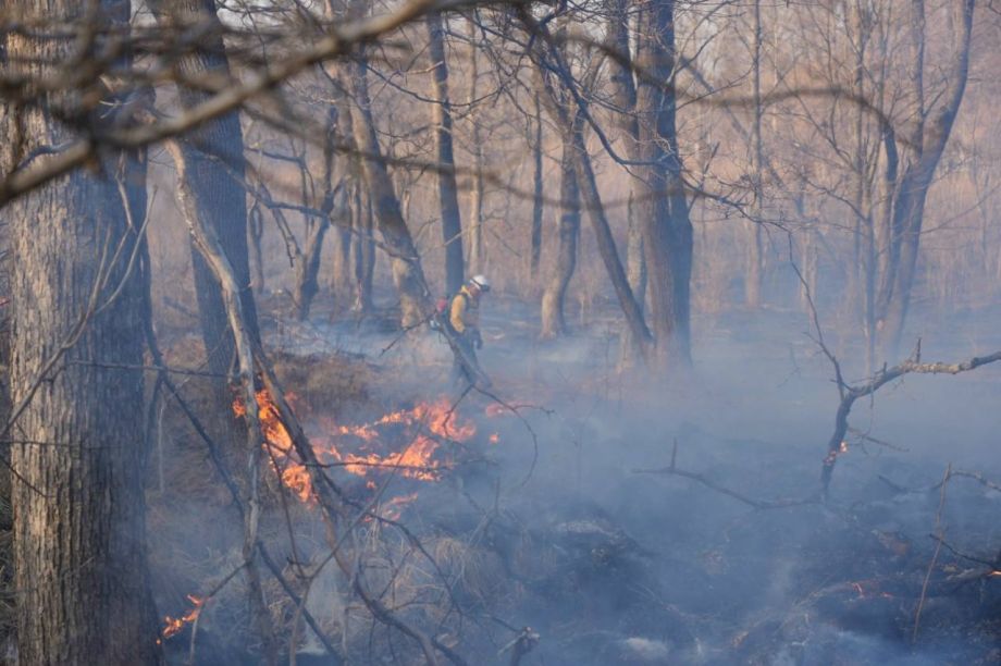 Более сотни гектаров выгорело в Приморском крае за сутки