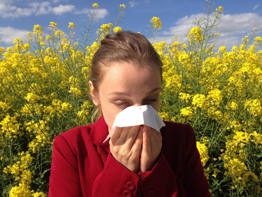 Фото: piqsels.com | Как обезопасить себя весной, если ты аллергик?