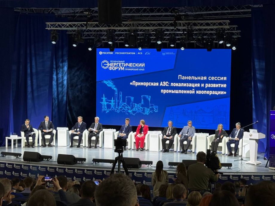 «Без электроэнергии нет движения»: первый энергетический форум прошёл в Приморье