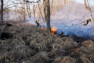 Лесные пожары охватили Приморье от Владивостока до Тернея