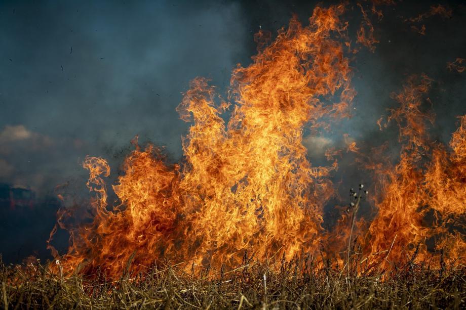 Почти 1000 гектаров выгорело в Приморье за прошедшие сутки
