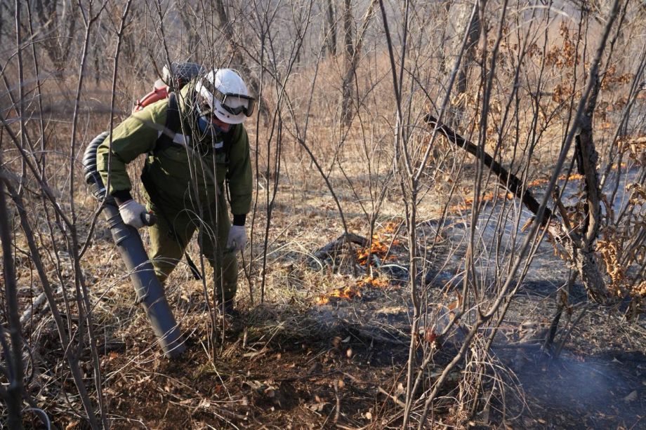 Один крупный природный пожар в Приморье не могут потушить уже сутки