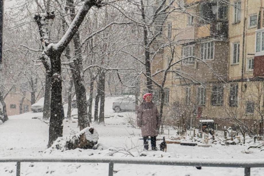 Фото: PRIMPRESS | «Зима вернулась»: в соцсетях показали, каких масштабов снег выпал в Приморье