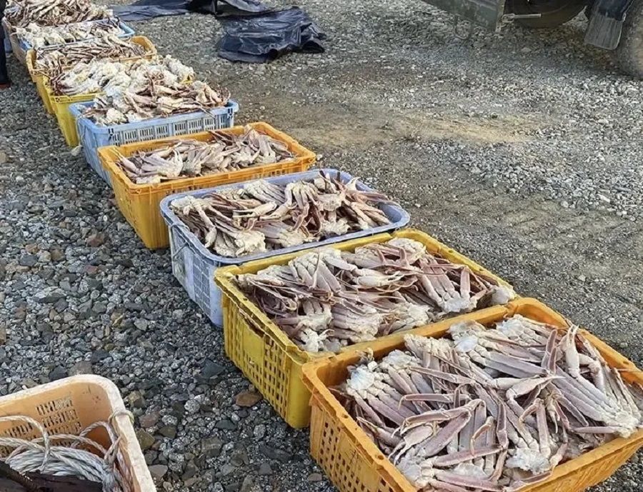 Приморские чекисты поймали браконьеров-краболовов