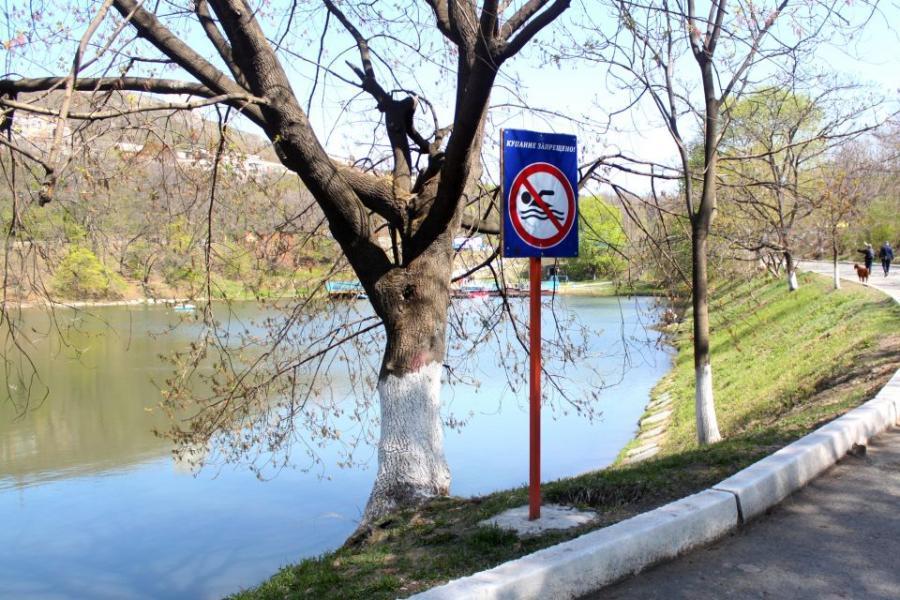 Фото: PRIMPRESS | Владивостокцам назвали скверы и парки, которые в ближайшие дни лучше не посещать