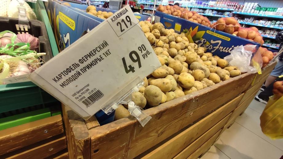 Фото: PRIMPRESS | Как в Приморье изменились цены на овощи и крупы?