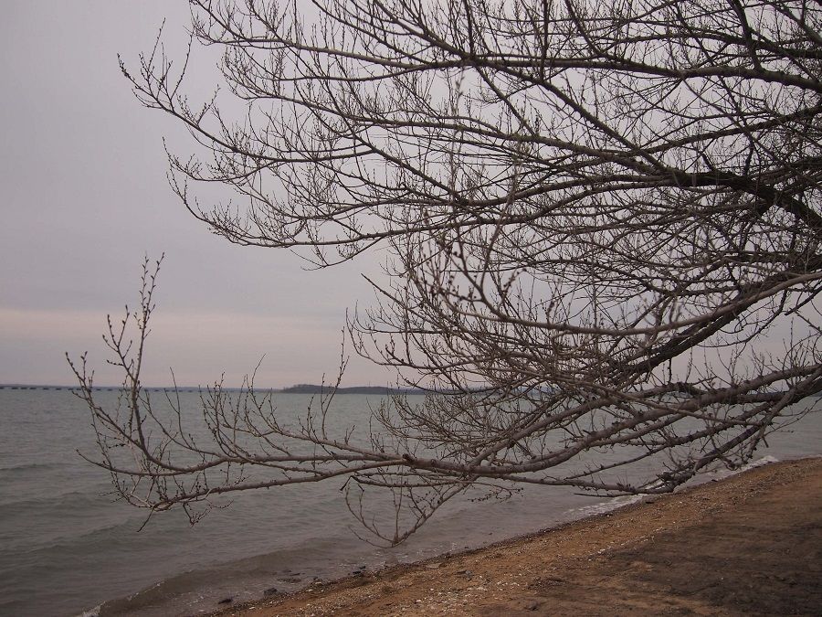 Холод и дождь во Владивостоке начались с понедельника