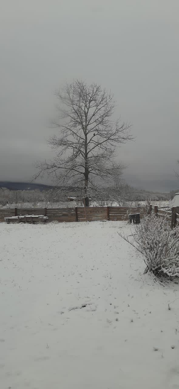 Снег посреди апреля? Приморье накрыла аномальная непогода