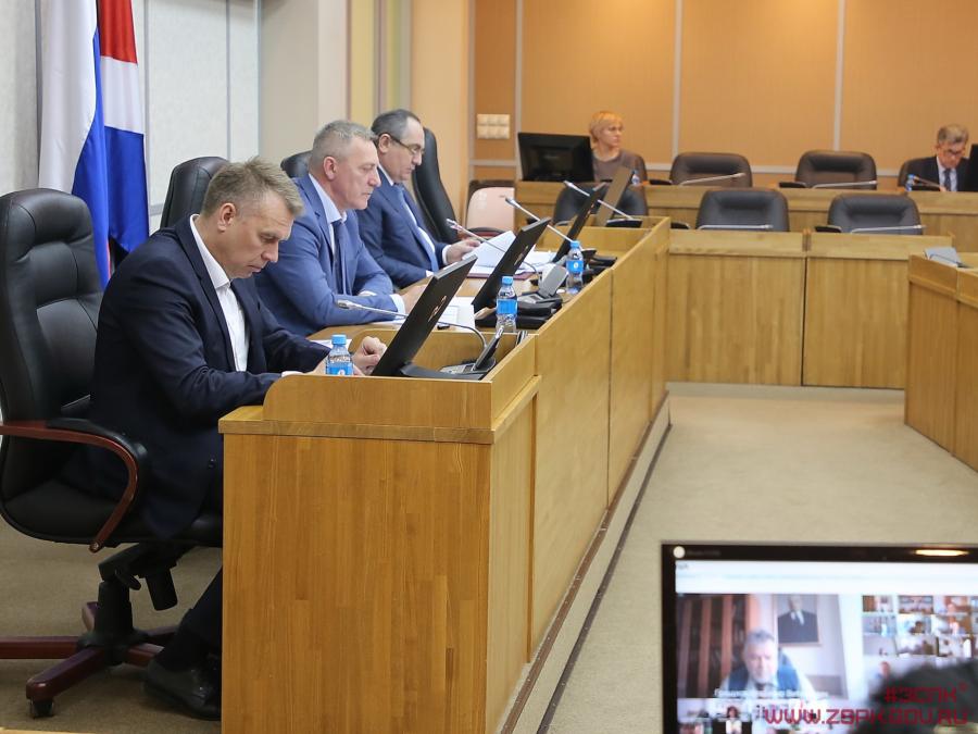 Фото: zspk.gov.ru | В Приморье изменятся нормы предвыборной агитации