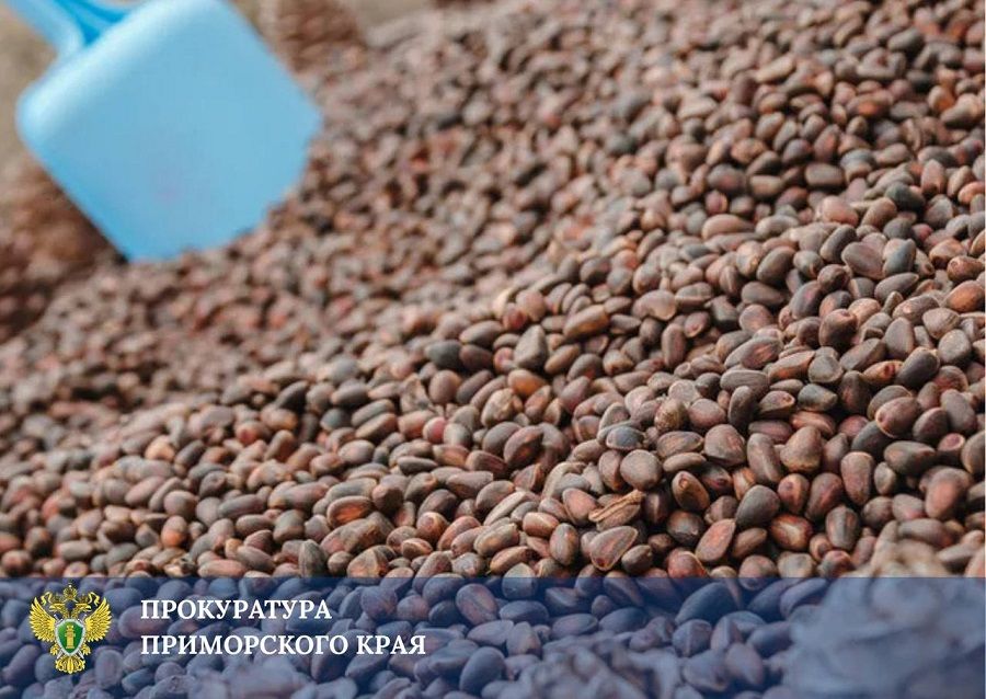 Глава местной думы в Приморье обвиняется в мошенничестве на 7,5 миллионов