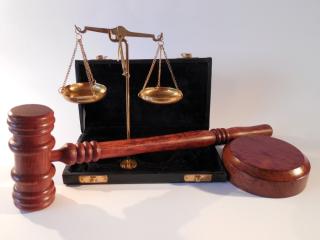 Фото: pixabay.com | В Приморье предстанет перед судом ОПГ «черных лесорубов»