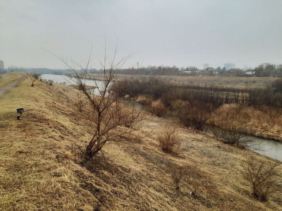 Расчистка рек в Приморье проходит с обманом