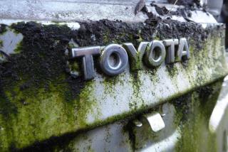 Фото: pixabay.com | Теперь точно нет: Toyota и Nissan приняли новое решение по отношению к россиянам