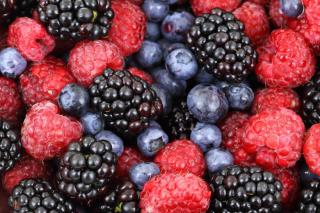 Фото: pixabay.com | Россиян предупредили об опасности ранних фруктов и овощей