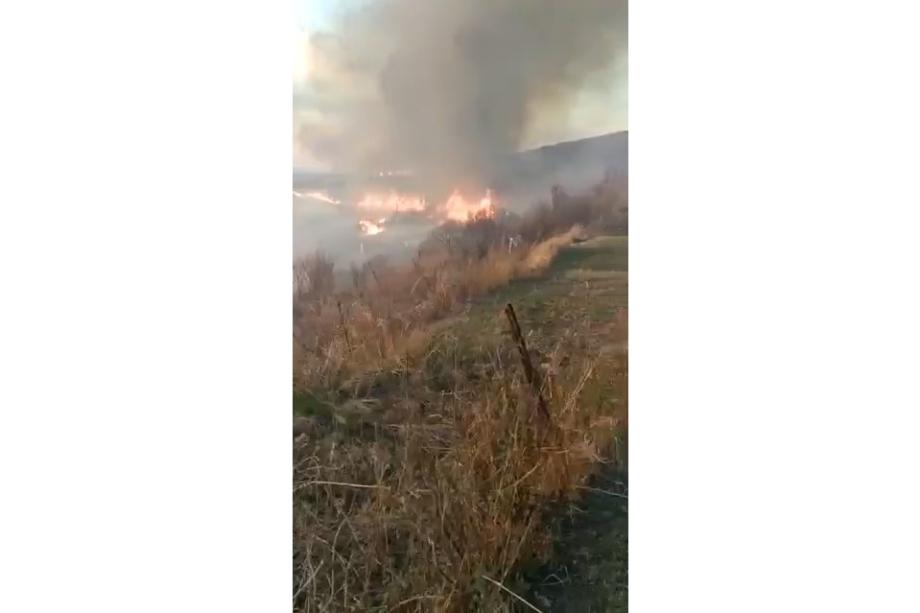 Фото: Telegram-канал "МЧС ПРИМОРЬЕ" | Полыхала трава: приморские пожарные спасли от огня село