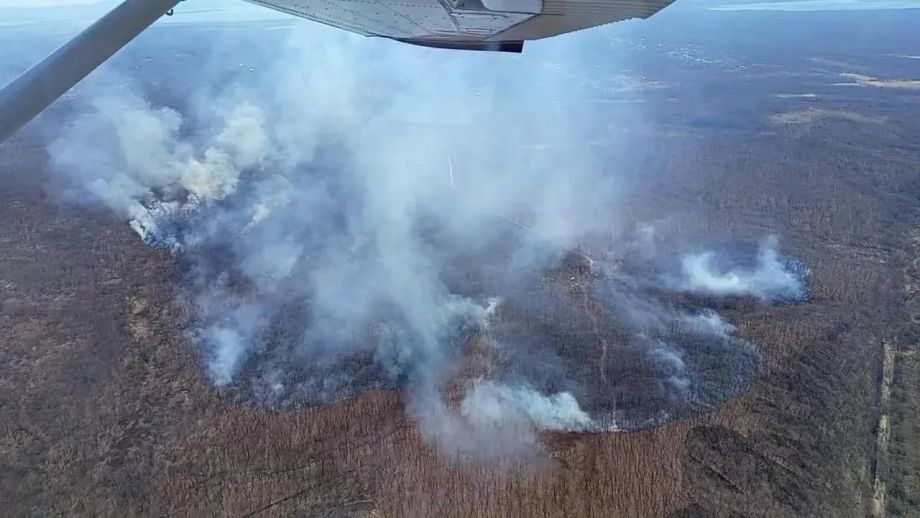 Огонь выжигает лесные и военные территории Приморья