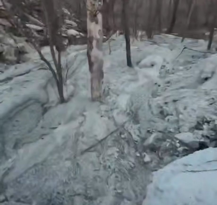 Застройщик открестился от бетона, который слили в лесу во Владивостоке