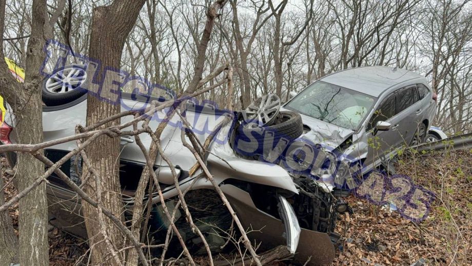 Лобовое на кладбище: выезд на «встречку» закончился съездом с косогора и леерами