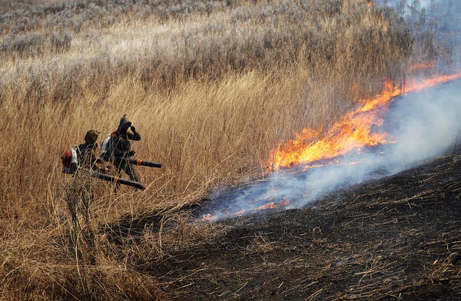 Фото: primorsky.ru | Четверо суток в Приморье боролись с крупным пожаром