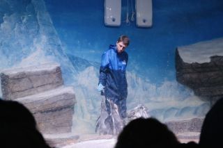 Морские птицы в центре внимания: как отметили Всемирный день пингвинов в Приморском океанариуме