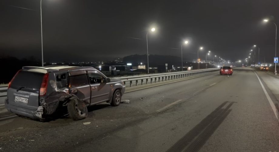 Цепная реакция на дороге: в Вольно‑Надежинском из‑за сбитой собаки столкнулись два авто