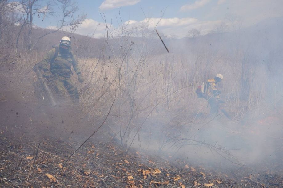 Дожди спасли Приморье от катастрофических пожаров на выходных