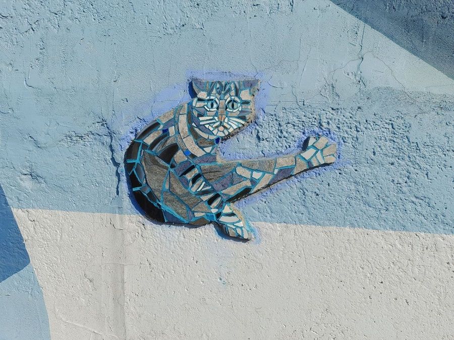 Домашний кот пришёл на стену с мозаиками около Покровского парка