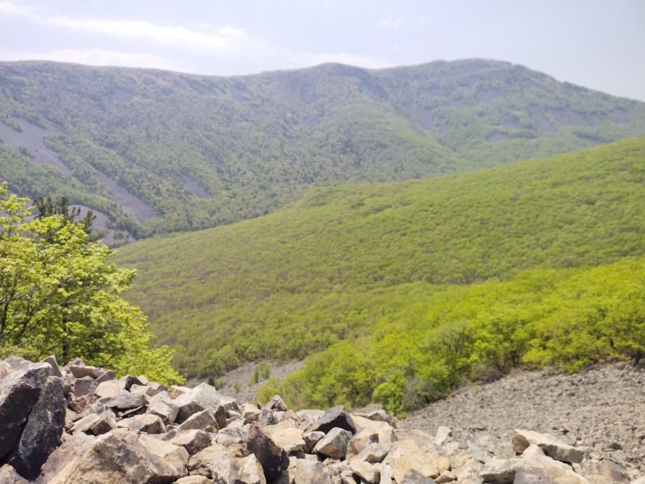 Погода побалует приморцев: синоптики сделали прогноз на майские праздники