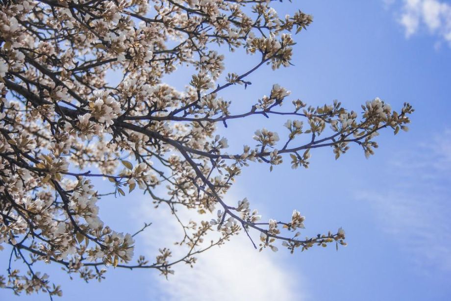 Погода в мае удивит: синоптики резко изменили прогноз — чего ждать по всей России