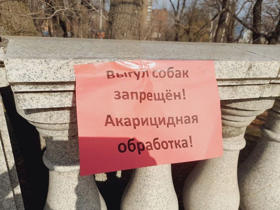 Весь Владивосток обрабатывают от клещей