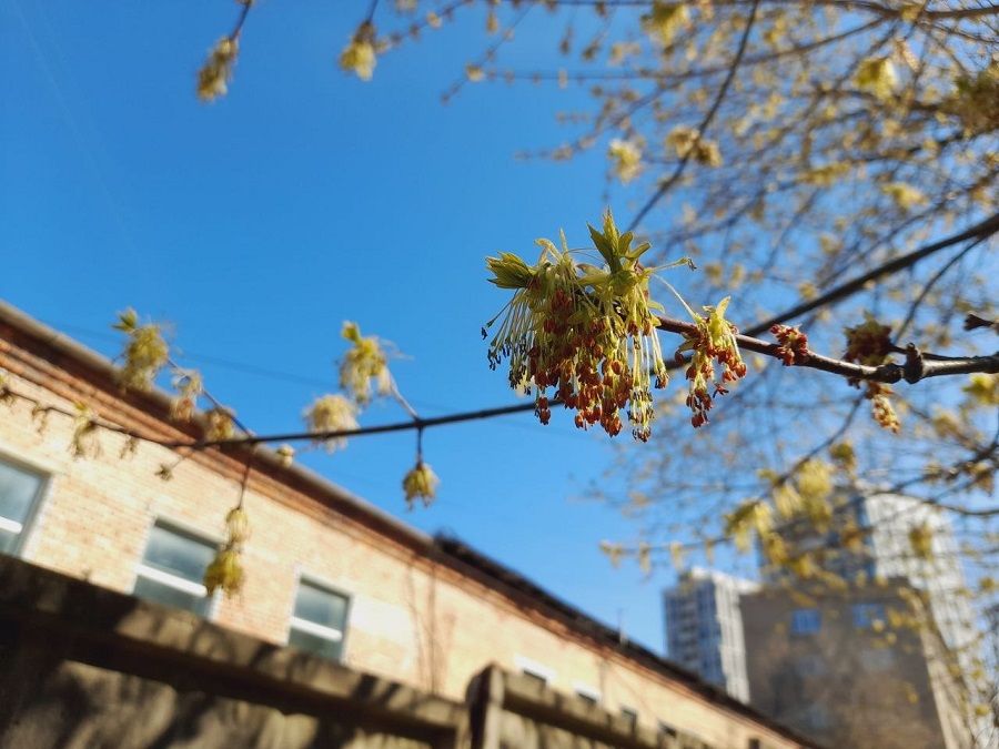 Воздух во Владивостоке уверенно прогревается к плюс 20