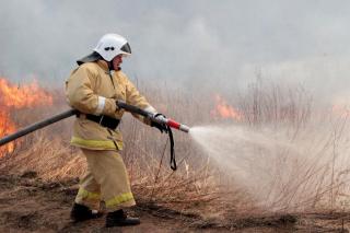 Фото: Олеся Куватова / PRIMPRESS | В Приморье выгорело более 120 гектаров леса