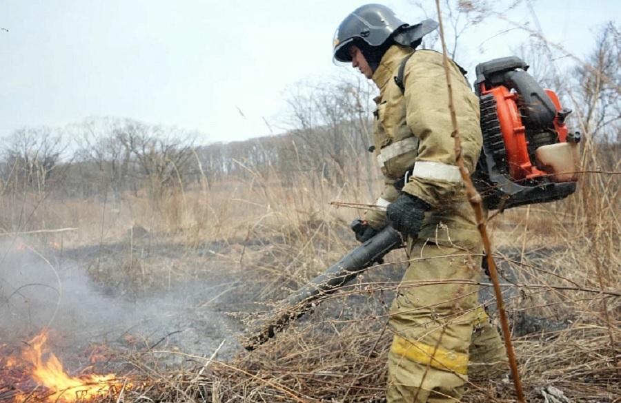 Фото: primorsky.ru | В Приморье поджигатели заплатили за пожары уже более четырех миллионов рублей