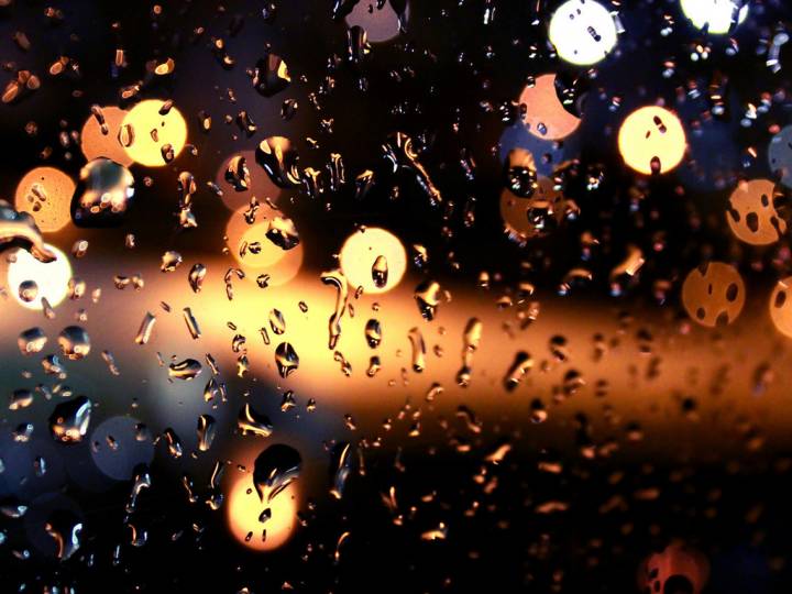 Фото: PRIMPRESS | Дожди разной интенсивности ожидаются в Приморье 6 мая