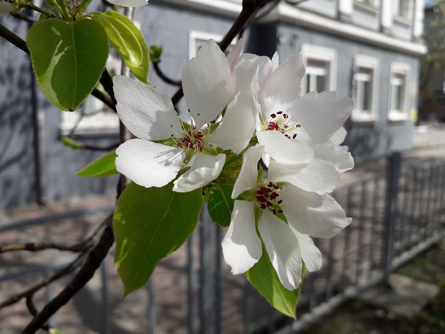 Погода во Владивостоке: до +16 °С, дождь вновь не прогнозируется