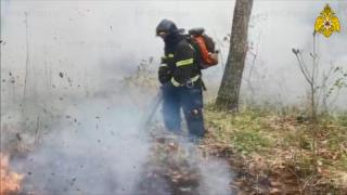 Фото: 25.mchs.gov.ru | Появились подробности ликвидации пожара на острове Путятина
