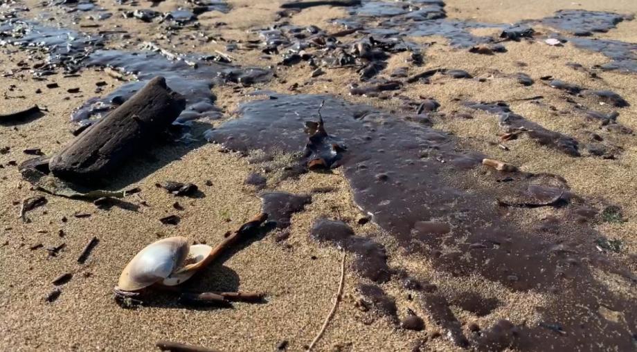 В Приморье пляж залило нефтепродуктами