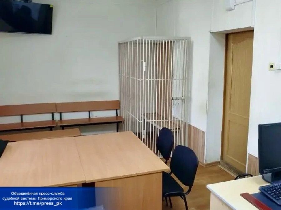 Воспитательница детсада во Владивостоке, сжёгшая глаза детям, получила условный срок