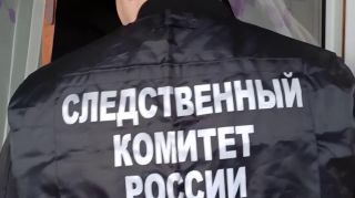 Заступилась за отца: в Приморье 15-летняя школьница зарезала мужчину