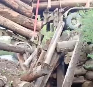 «Он весь сгнил»: очередной мост рухнул под весом большегруза в Приморье